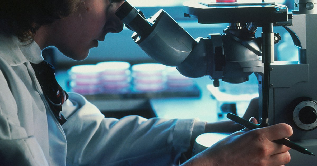 Hexarelin: long-term risks and evidence gaps