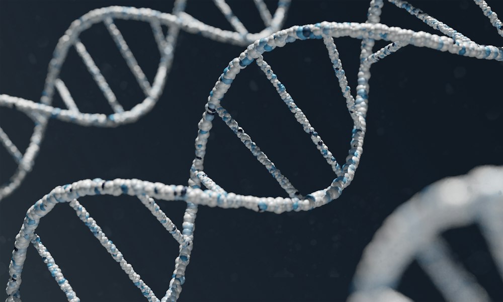 Hexarelin: long-term risks and evidence gaps